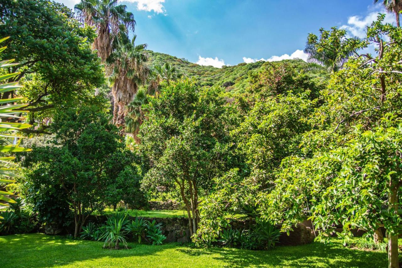 Casa Galeana- Tropical 1-Bd 1-Wc Mountain Top Luxury Suite With Stunning Views Ajijic Buitenkant foto