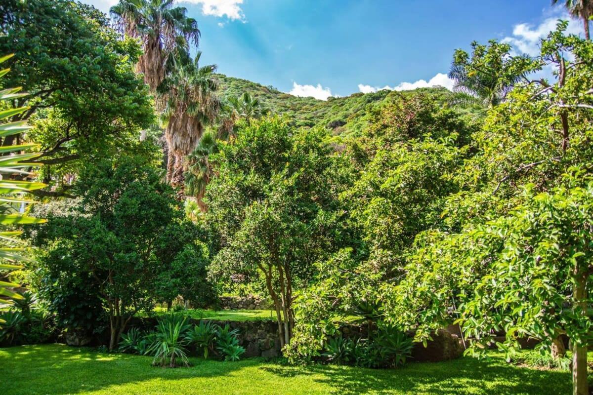 Casa Galeana- Tropical 1-Bd 1-Wc Mountain Top Luxury Suite With Stunning Views Ajijic Buitenkant foto