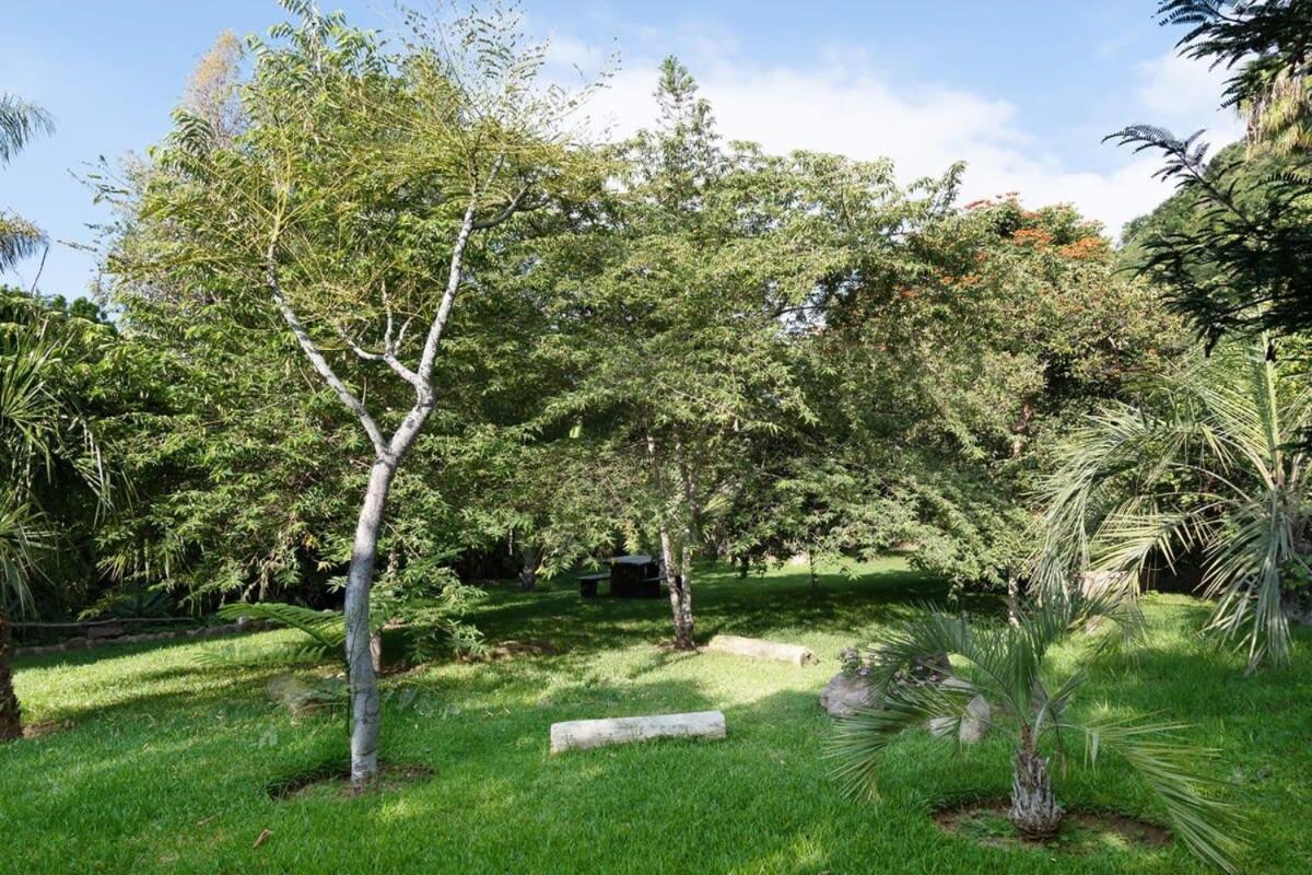 Casa Galeana- Tropical 1-Bd 1-Wc Mountain Top Luxury Suite With Stunning Views Ajijic Buitenkant foto